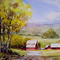 COTTONWOOD VALLEY